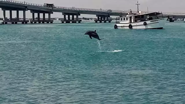 FOTO: Facebook Cristopher Garrido