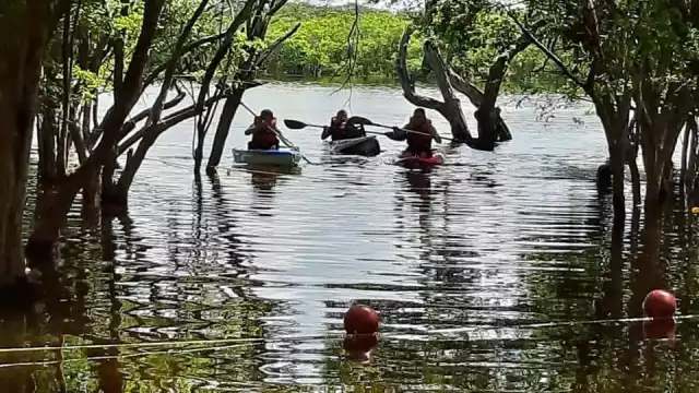 Los cenotes y lagunas son sitios hidrológicos visitados por turistas nacionales y extranjeros