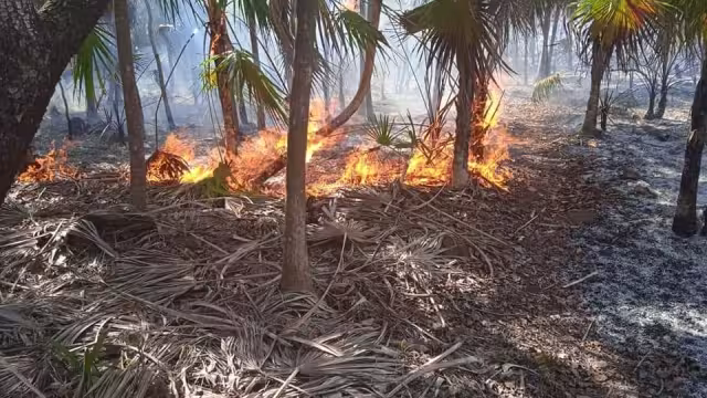 La zona del siniestro se encuentra acordonada por personal de Protección Civil