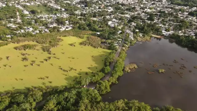 Desde el 2017 comenzaron a presentar una alta comunidad en "La Sabana"