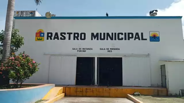 Los empleados han indicado que terminan llenos de sangre cuando sacrifican animales, pues el Ayuntamiento de Cozumel no ha dado nuevos aditamentos la Rastro Municipal