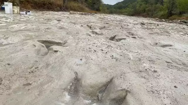 Encuentran huellas de dinosaurios en Texas tras sequía