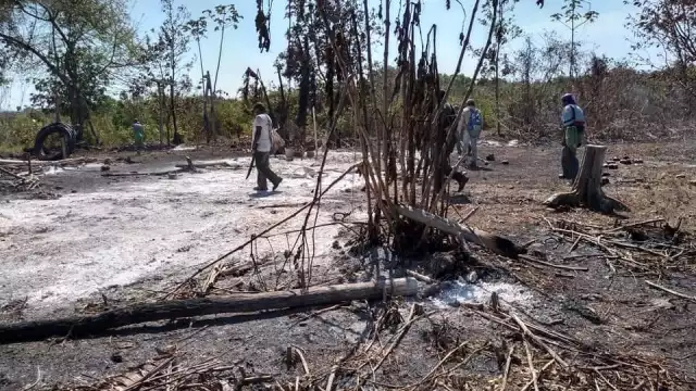 Productores de Tizimín piden hacer uso responsable de las quemas agrícolas