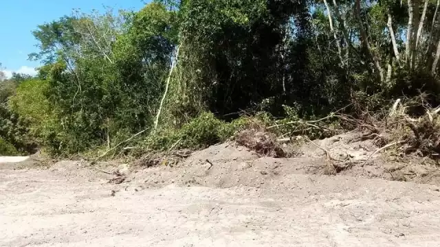 Destruyen parte de selva por nuevo camino de acceso a "El Chorro" en Juan Sarabia, Chetumal