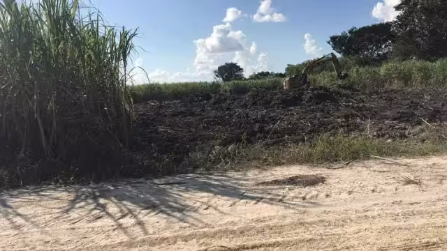 400 de los 657 ejidatarios que conforman ese núcleo agrario, dieron su aprobación para la realización del Tren Maya