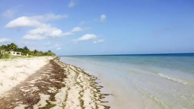 El puerto de San Crisanto en Yucatán es un poblado pequeño de pescadores