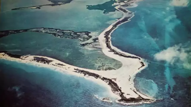 Debido al veloz crecimiento que ha tenido Cancún como centro turístico, la ciudad ha visto un sin fin de negocios llegar e irse