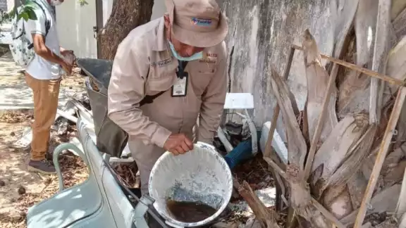 Ya son cuatro casos de dengue hemorrágico que surgen en Tizimín durante el mes de mayo Ya son cuatro casos de dengue hemorrágico que surgen en Tizimín durante el mes de mayo