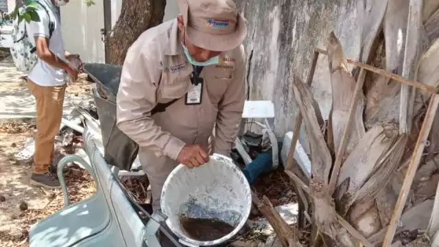 Ya son cuatro casos de dengue hemorrágico que surgen en Tizimín durante el mes de mayo