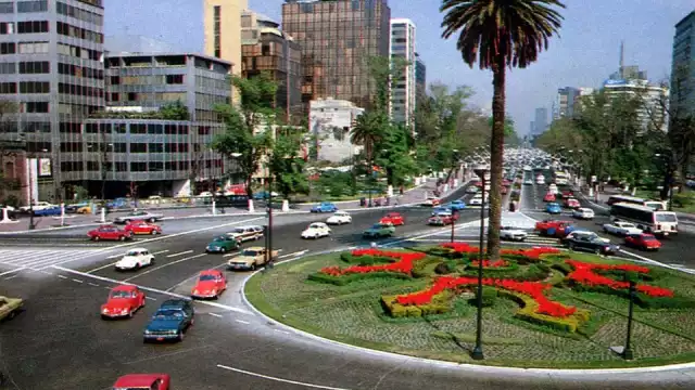 La Glorieta de la Palma es uno de los muchos emblemas de la CDMX