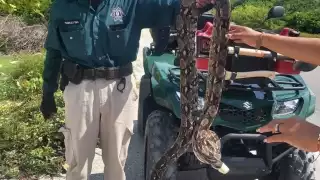 El denunciante tuvo un altercado con una oficial