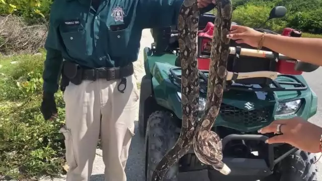 El denunciante tuvo un altercado con una oficial