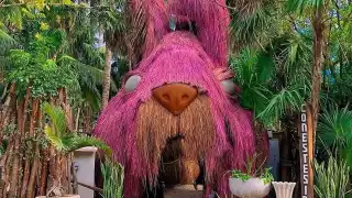 El bar incumplió con las medidas del Semáforo Naranja