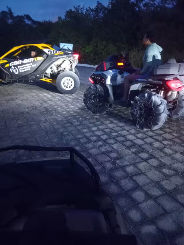 Arribazón 2026: tortugas Carey en peligro por imprudencia humana