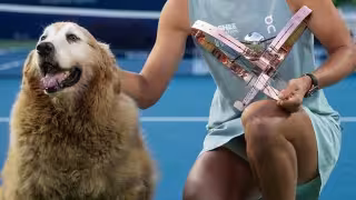 Iga Swiatek celebra con su perro tras ganar en Toronto y manda mensaje a sus detractores