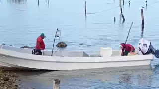 Compresoras y bovedillas: el secreto a voces de la pesca furtiva en Campeche