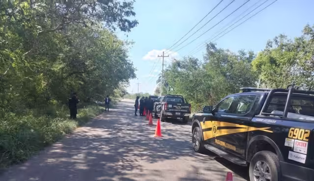 Encuentran cadáver en el monte en la vía Ticul-Sacalúm