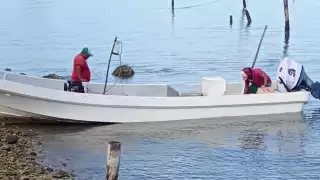 Ribereños denuncian uso de artes prohibidas en temporada de pulpo en Champotón