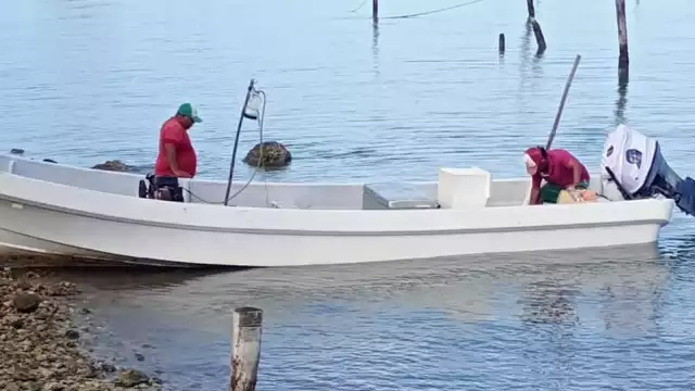 Compresoras y bovedillas: el secreto a voces de la pesca furtiva en Campeche