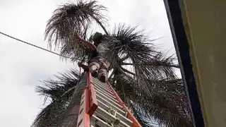 Fuertes vientos causan descargas eléctricas en  plantel de bachillerato de Felipe Carrillo Puerto 