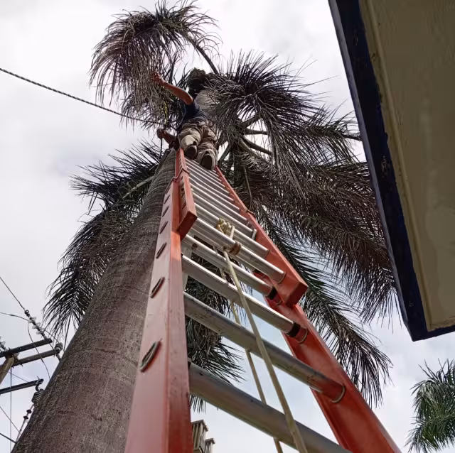 Fuertes vientos causan descargas eléctricas en plantel de bachillerato de Felipe Carrillo Puerto