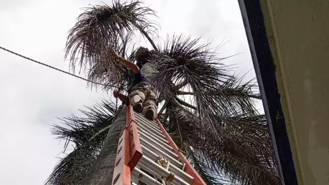 Fuertes vientos causan descargas eléctricas en plantel de bachillerato de Felipe Carrillo Puerto