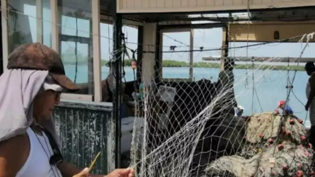 De acuerdo con productores, los intermediarios justifican los bajos costos que ofrecen por la caída del dólar frente al peso mexicano