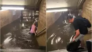 Pasajeros nadan para cruzar los torniquetes del metro en NY