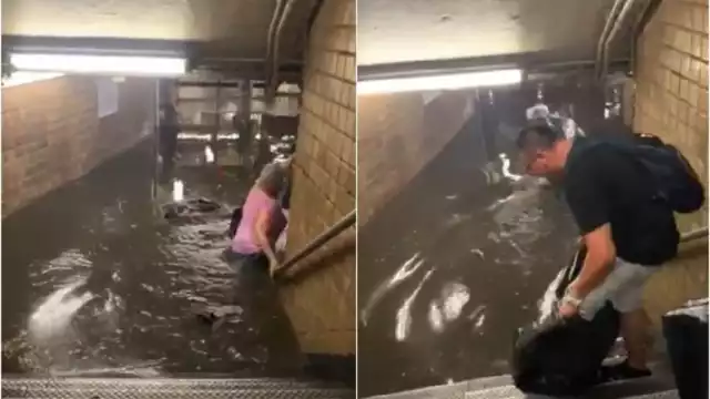 Pasajeros nadan para cruzar los torniquetes del metro en NY