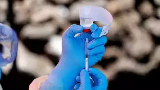 Tedros criticó que el dinero no es el único obstáculo al que se enfrentan los países más pobres para poder acceder a las vacunas