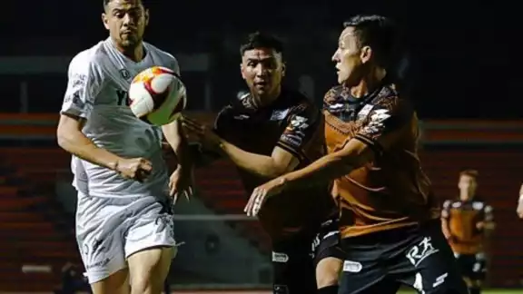 Venados no logra superar a Correcaminos como visitante Venados no logra superar a Correcaminos como visitante