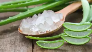 Su nombre científico es ‘Aloe Barbandensis’ y se diferencia de los demás tipos de aloe por su alta producción de gel