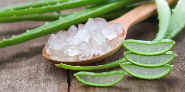 Su nombre científico es ‘Aloe Barbandensis’ y se diferencia de los demás tipos de aloe por su alta producción de gel