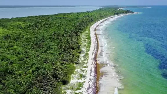 El Cembda indicó que el crecimiento urbano desordenado también afecta a la flora y fauna de Sian Ka'an