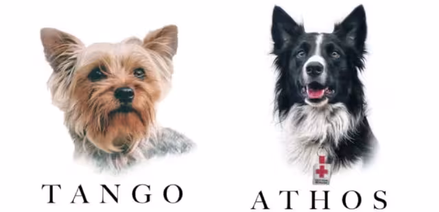 El asesino de los perritos rescatistas, Athos y Tango, fue condenado a 10 años de prisión