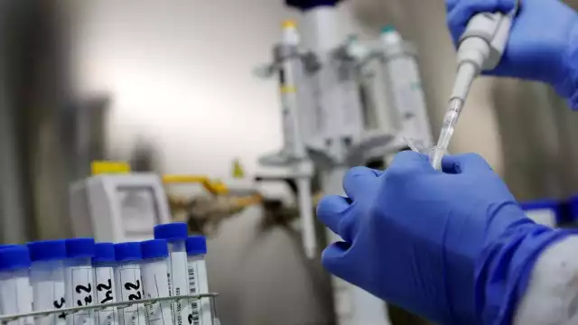 El Conave resaltó que aunque aún no hay casos detectados en el país