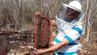 Programa Miel del Bienestar: esperanza contra el abuso de coyotes