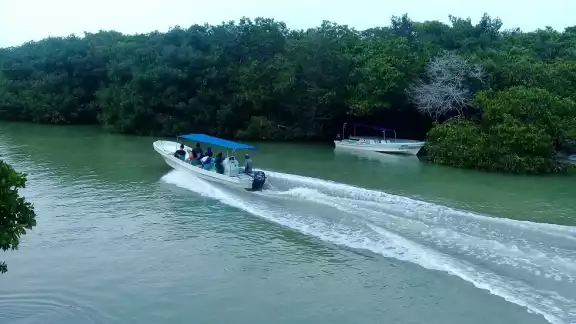 Hay varios tours en Río Lagartos que van desde paseos en la ría hasta avistamientos de cocodrilos Hay varios tours en Río Lagartos que van desde paseos en la ría hasta avistamientos de cocodrilos