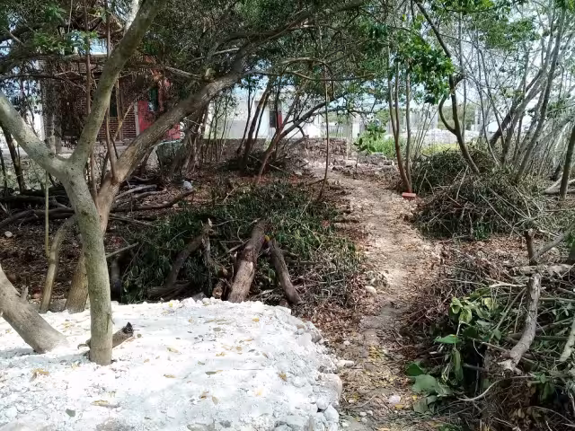 Los avecindados destruyen sistemas de diversidad de flora y fauna