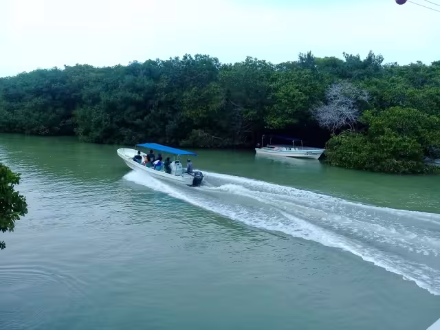 Hay varios tours en Río Lagartos que van desde paseos en la ría hasta avistamientos de cocodrilos