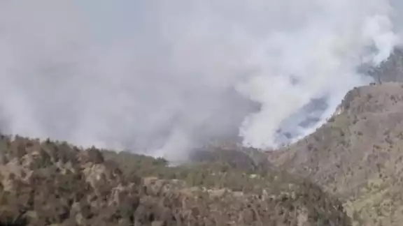 Cerca de 30 hectáreas del bosque en el Pico de Orizaba habrían sido consumidas