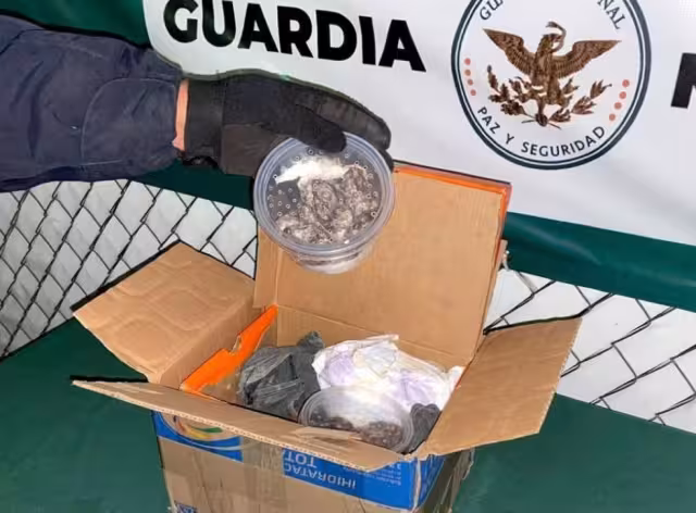 Foto: Guardia Nacional