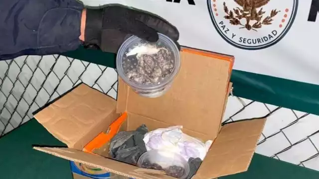 Foto: Guardia Nacional