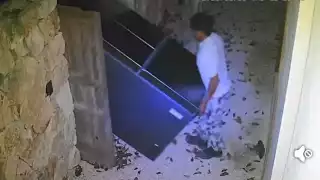 Simulan mudanza y vacían por completo un condominio en Holístika, Tulum