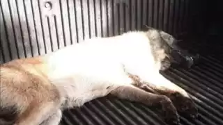 Fotos: Por Efraín Valencia