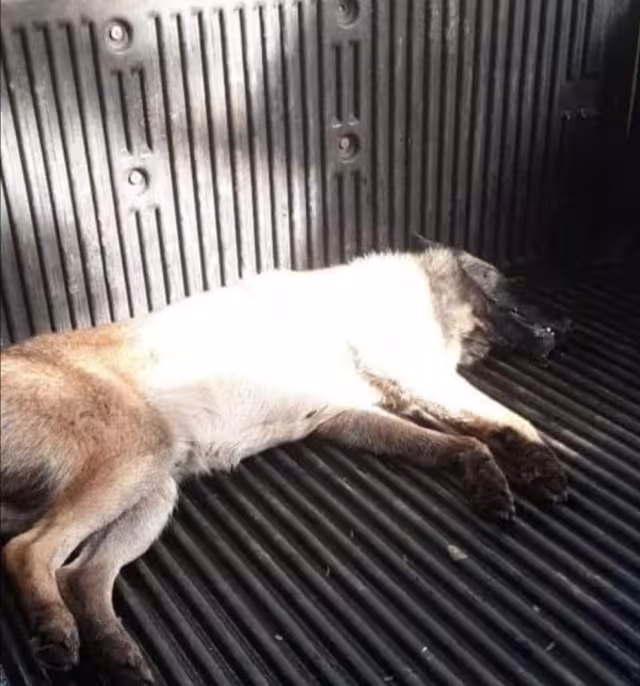 Fotos: Por Efraín Valencia