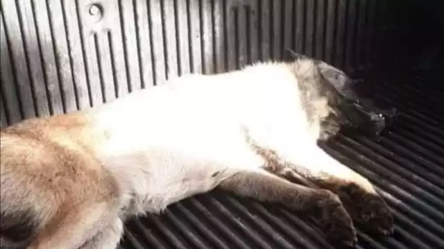 Fotos: Por Efraín Valencia