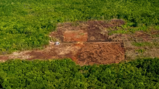 Clausuras ambientales se disparan  200% en Yucatán; desmontes ilegales y agroquímicos degradan el suelo y el acuífero