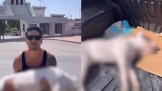 Joven denuncia presunto envenenamiento de su perro tras pasearlo en una Unidad Deportiva de Tulum