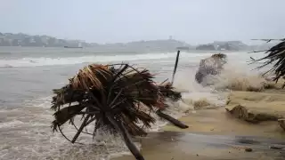 ‘Rick’ toca tierra en Guerrero como Huracán Categoría 2: Sigue su trayectoria en vivo